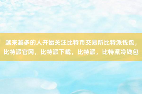 越来越多的人开始关注比特币交易所比特派钱包，比特派官网，比特派下载，比特派，比特派冷钱包